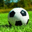 xc sports 官方标志